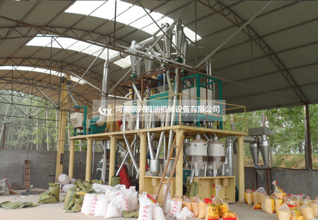 20吨级玉米加工设备