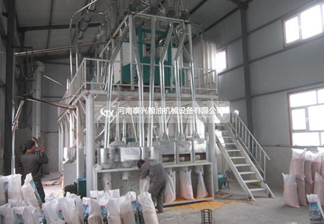 新疆50吨玉米加工设备安装案例